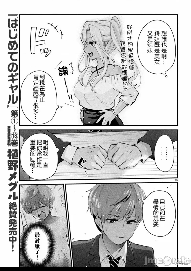 第 17 页