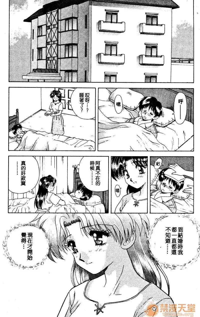 第 26 页