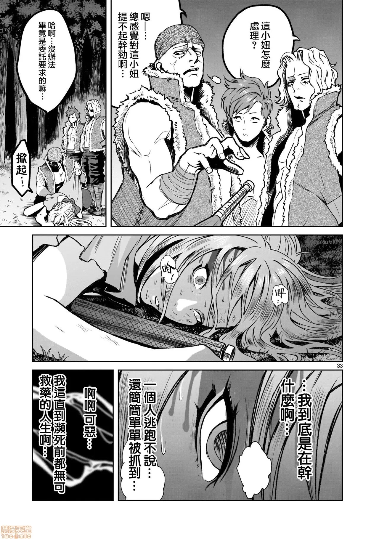 第 33 页