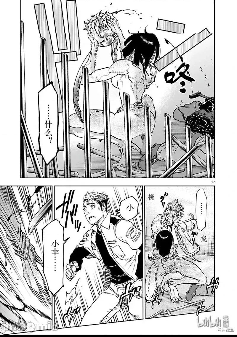 第 17 页