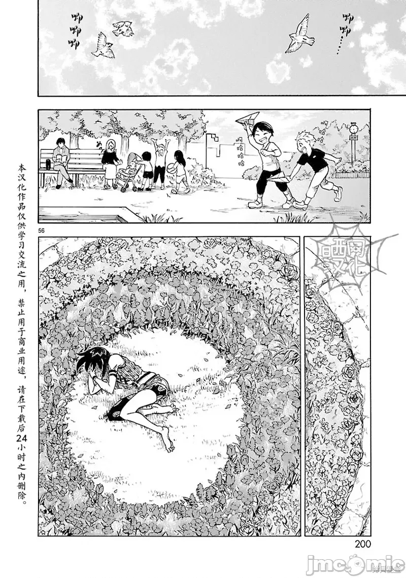 第 43 页