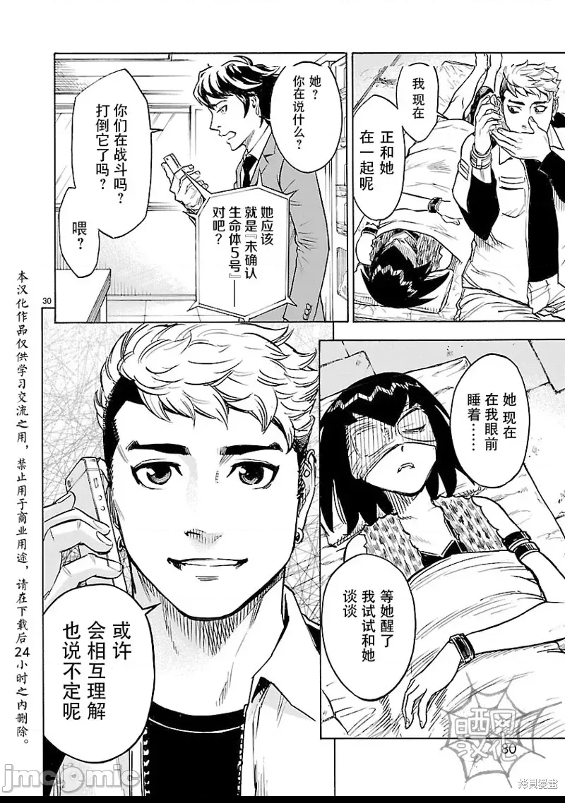 第 30 页