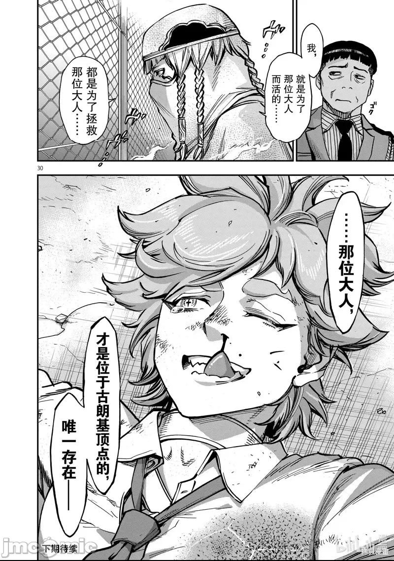 第 30 页