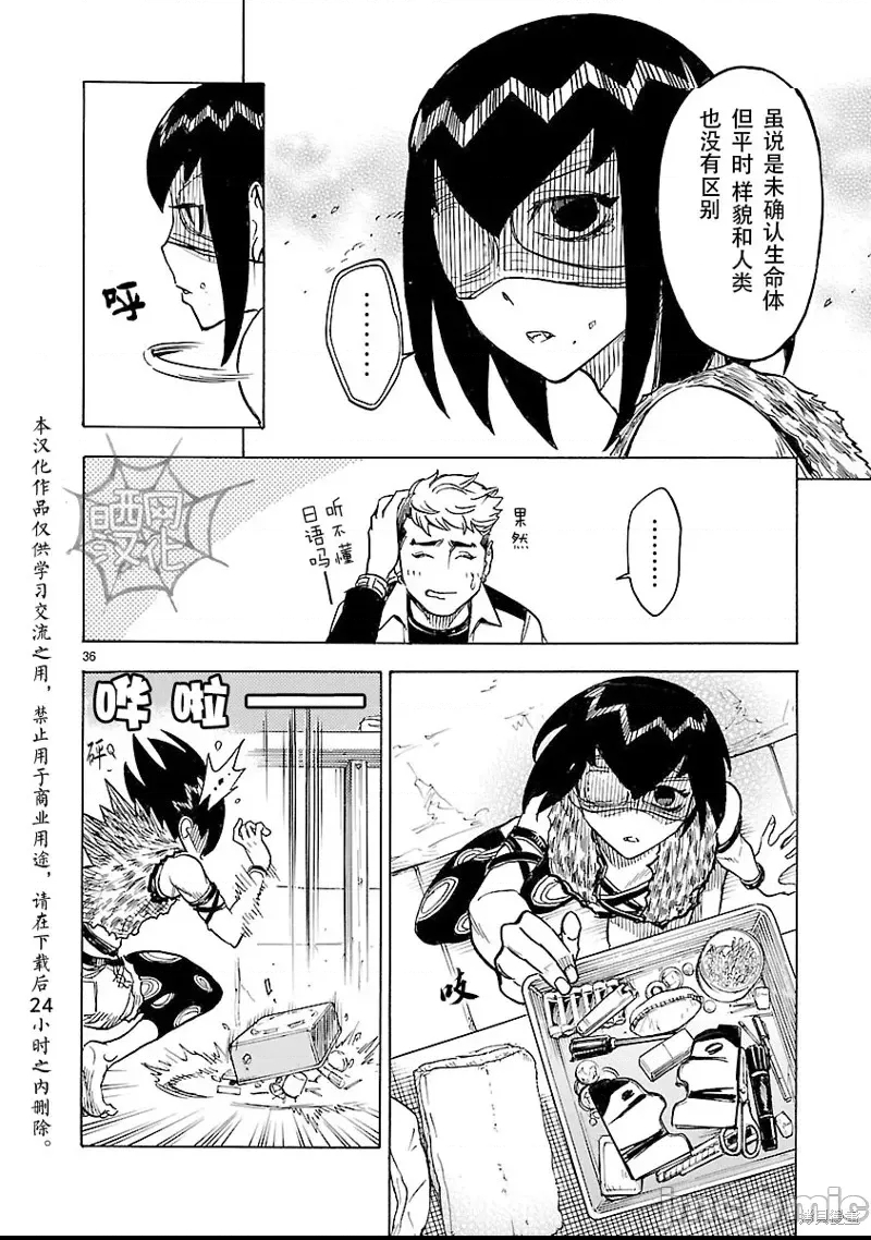 第 36 页