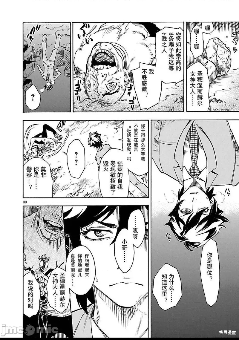 第 30 页