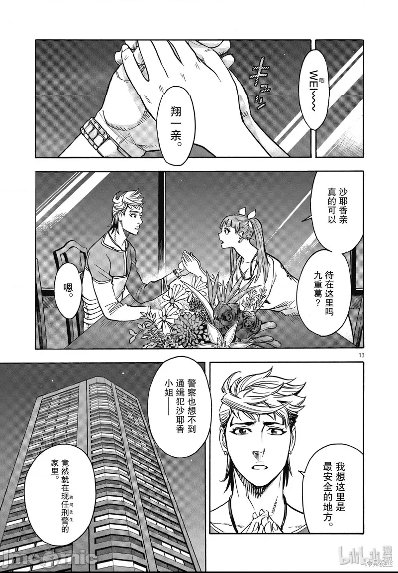 第 13 页