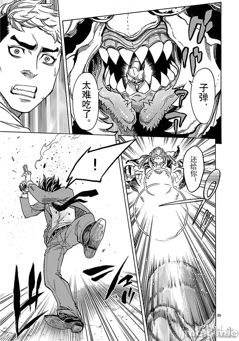 第 43 页