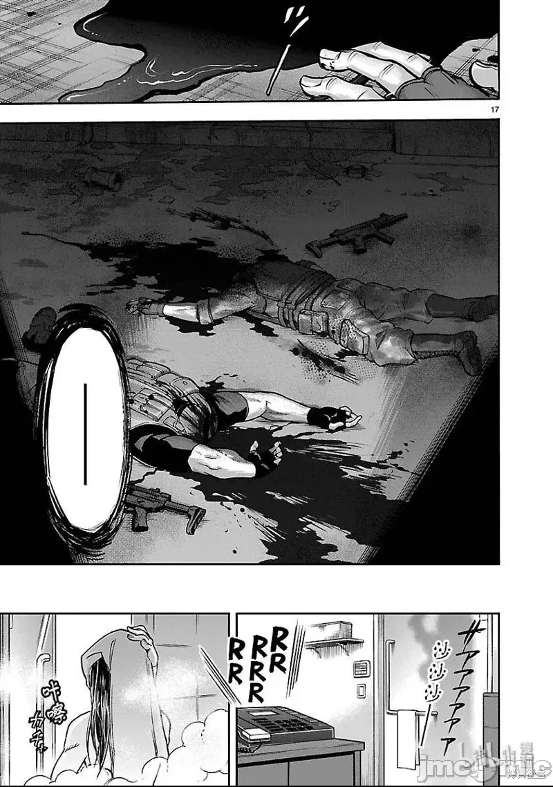第 17 页