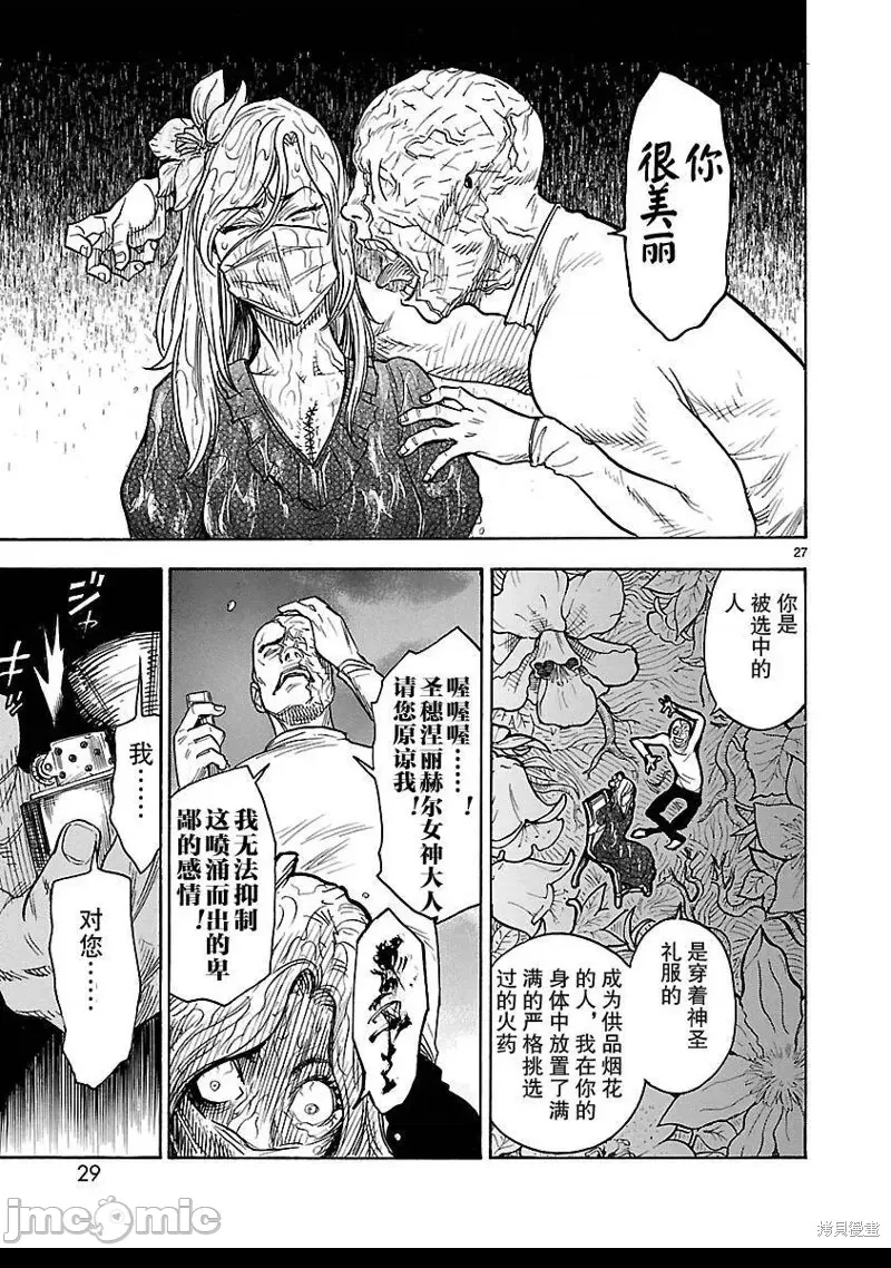 第 27 页