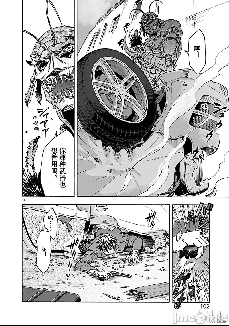 第 13 页