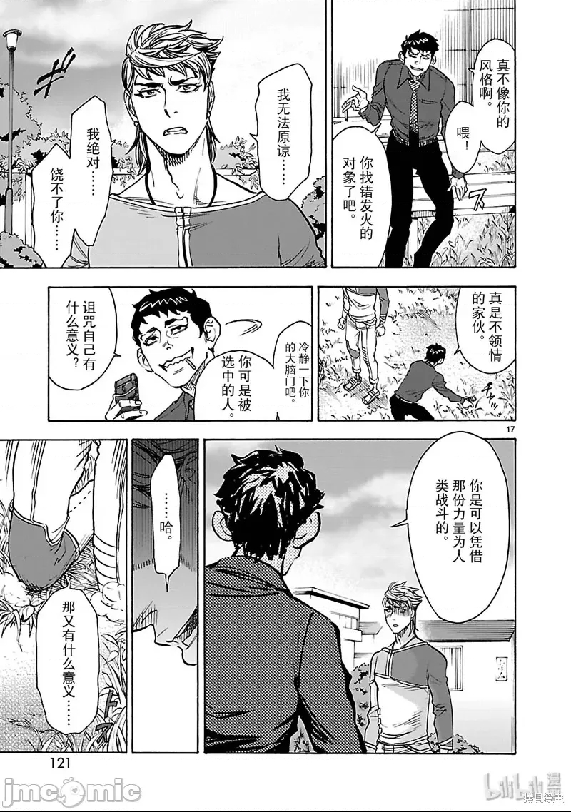 第 17 页