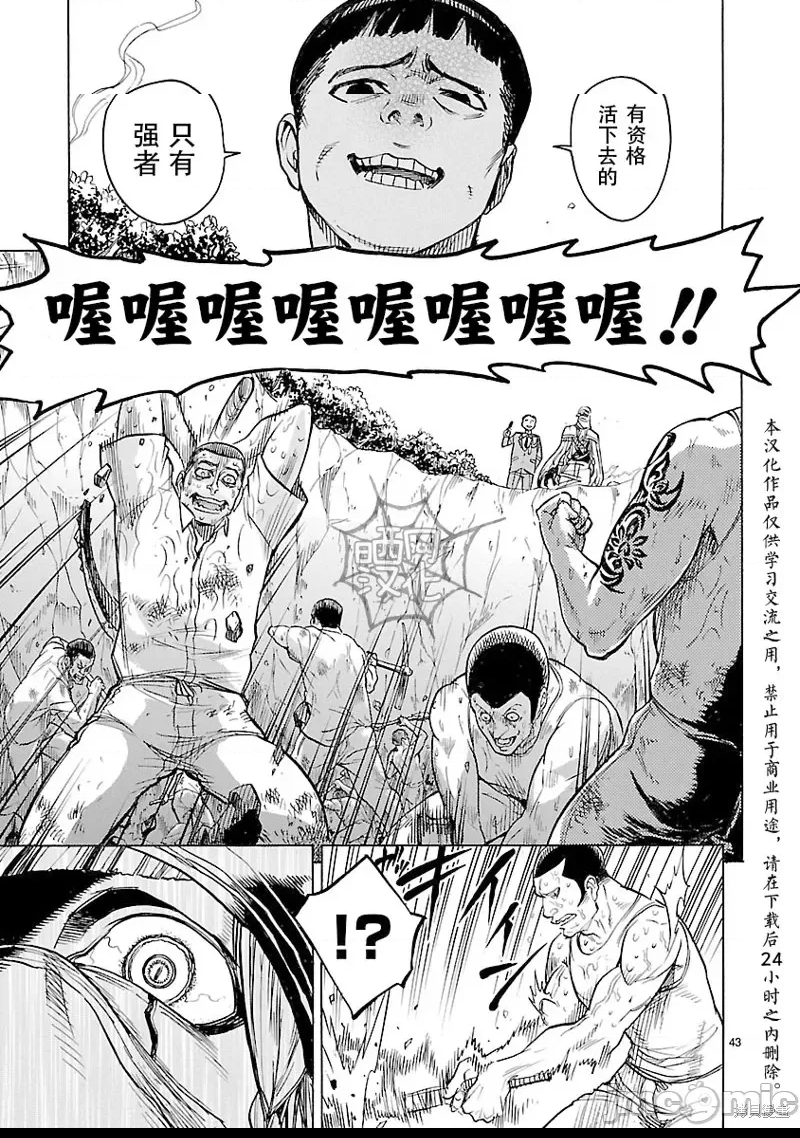 第 43 页