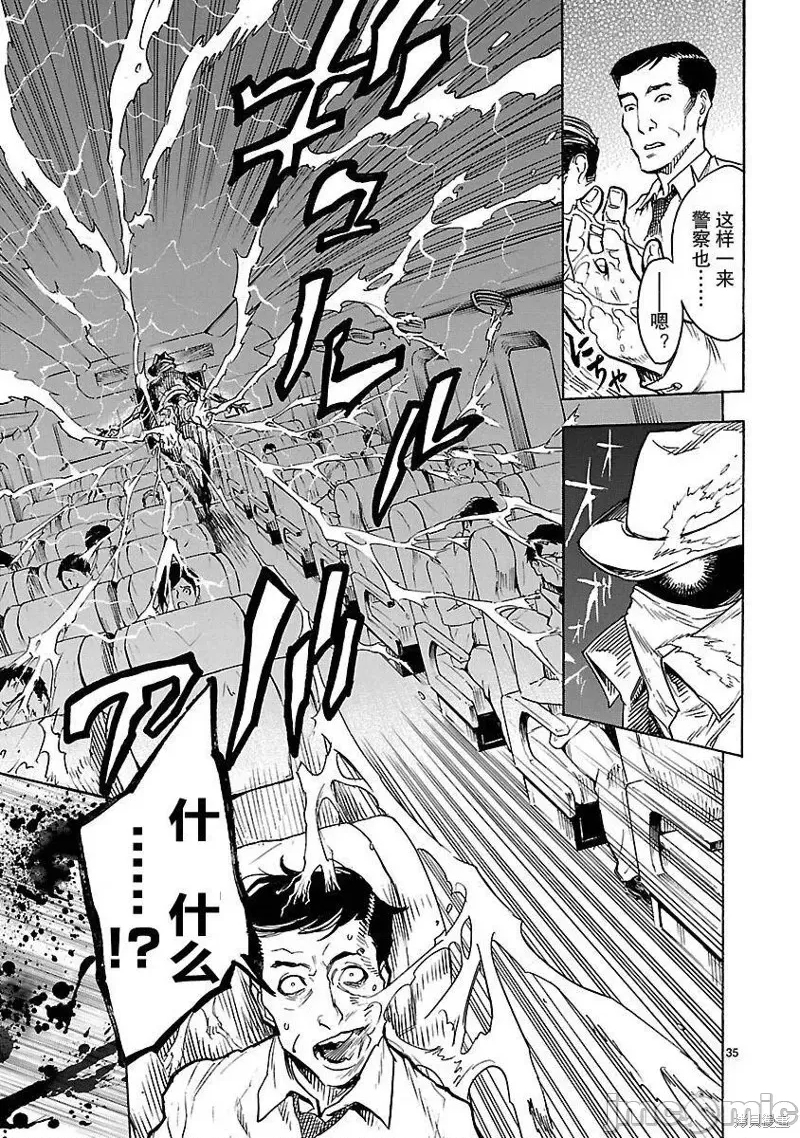 第 35 页