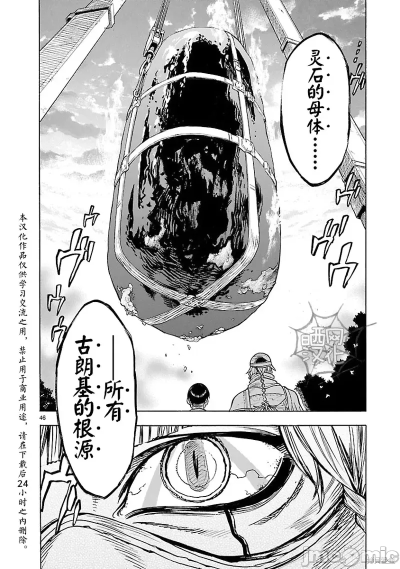 第 46 页