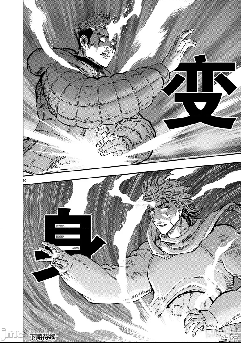 第 30 页