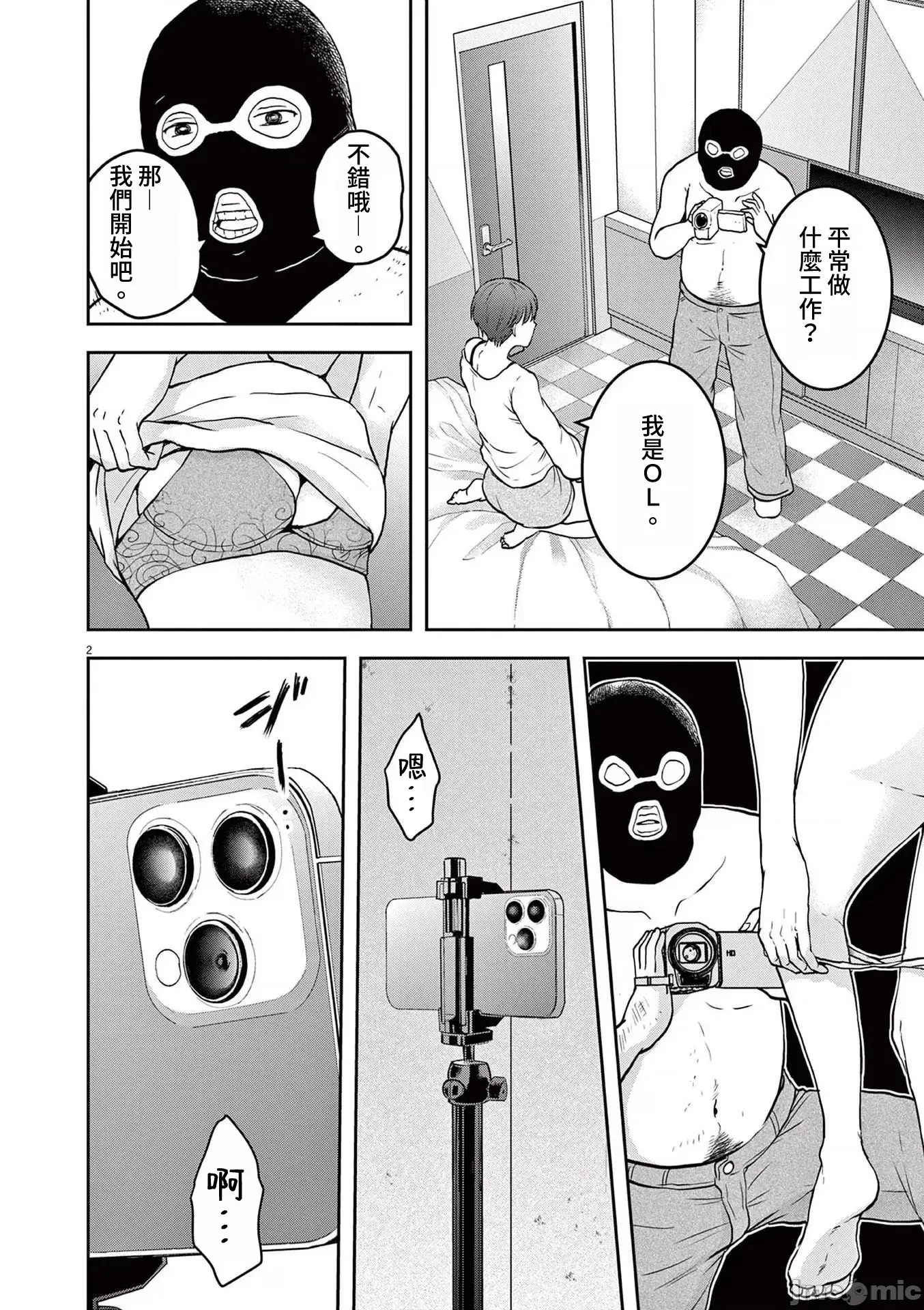 第 2 页