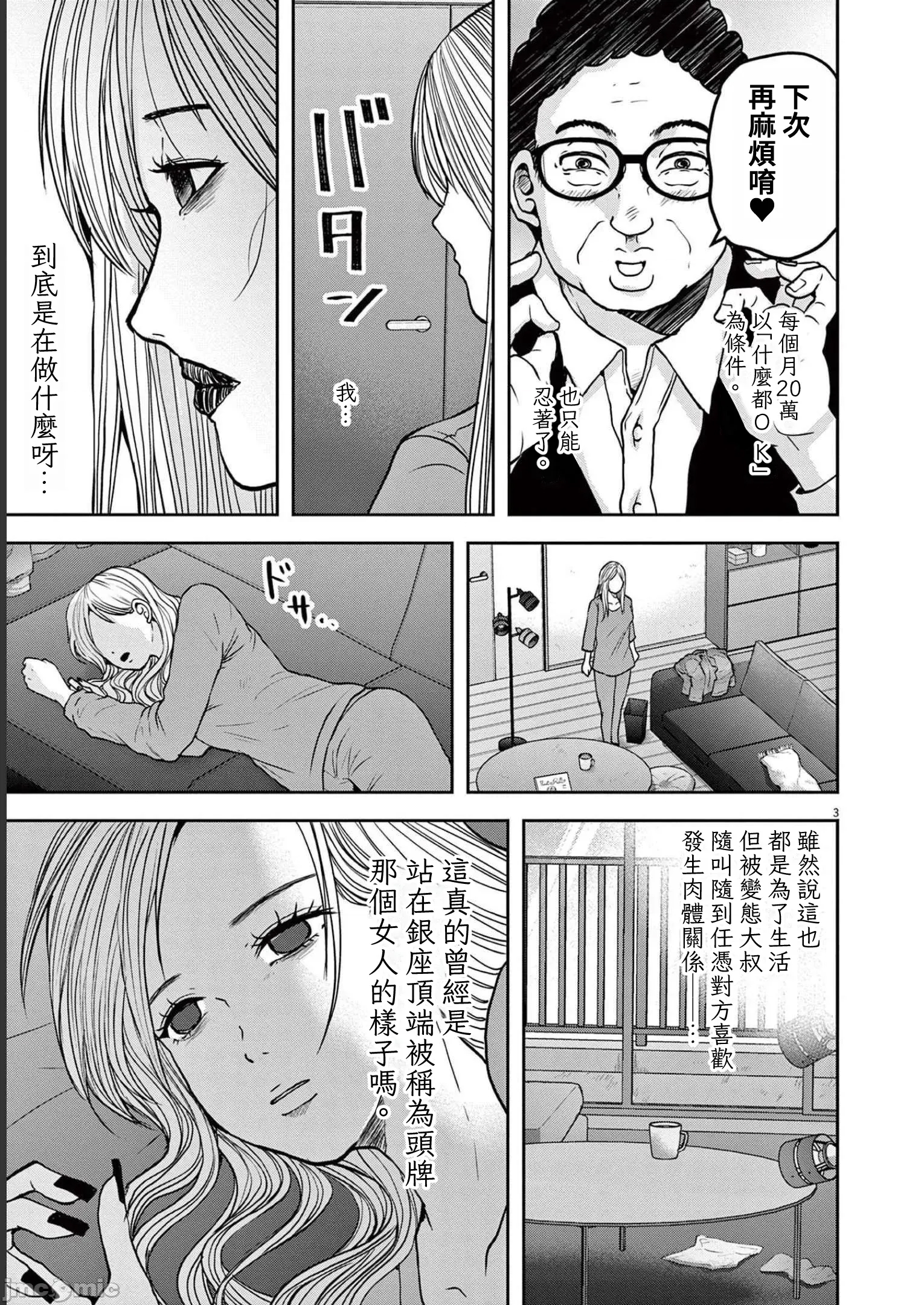 第 3 页