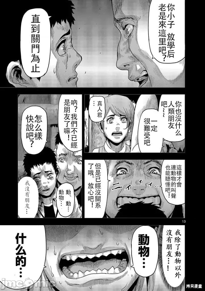 第 13 页