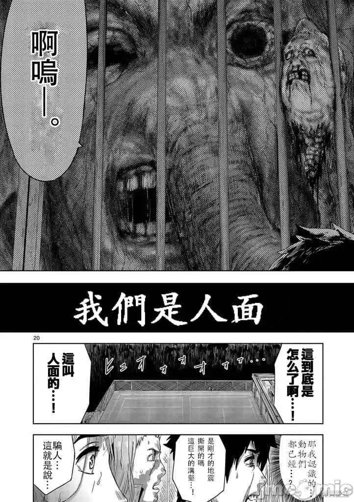 第 20 页