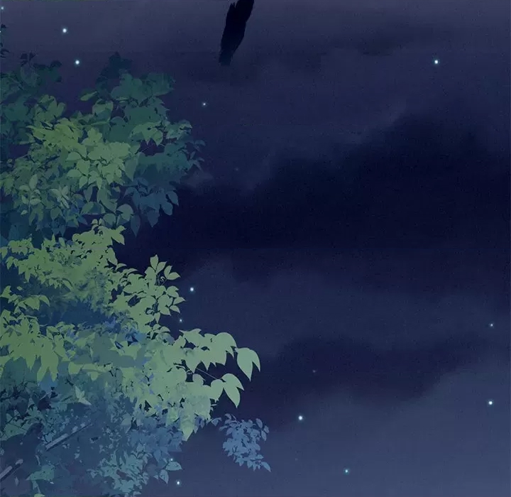 第 91 页