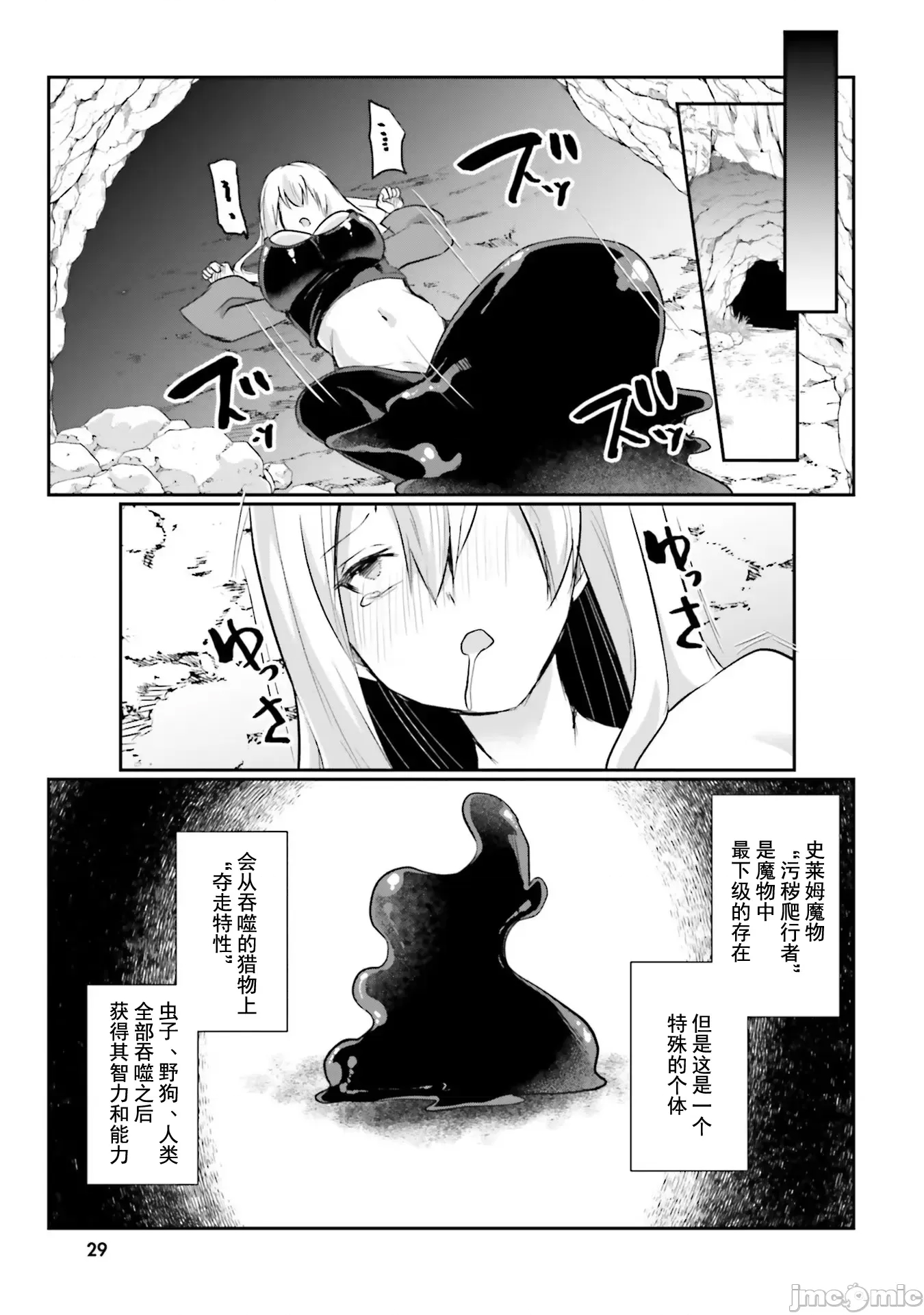 第 29 页