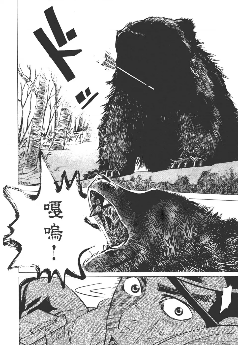 第 48 页