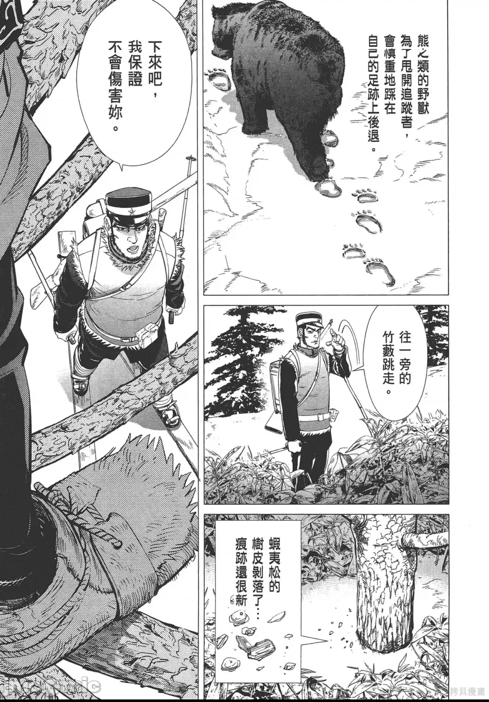 第 31 页