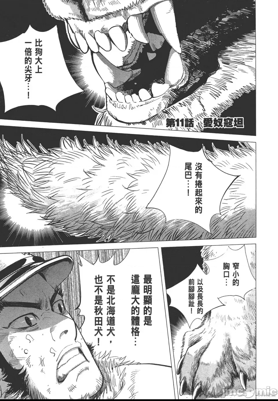 第 61 页