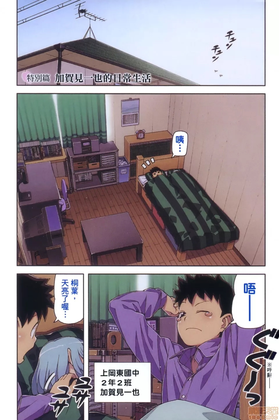 第 3 页