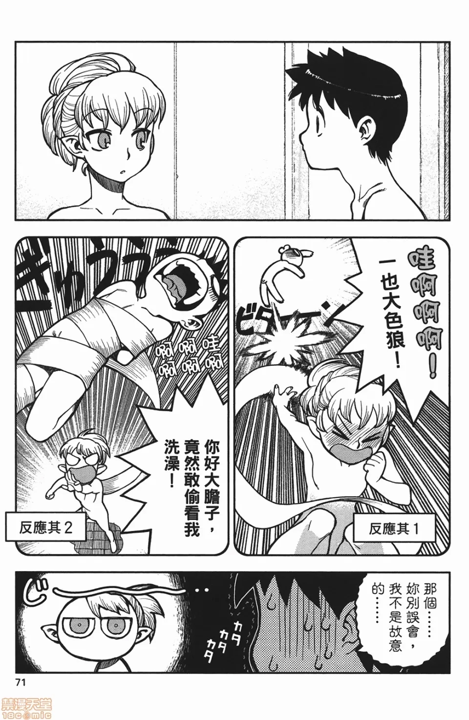 第 71 页
