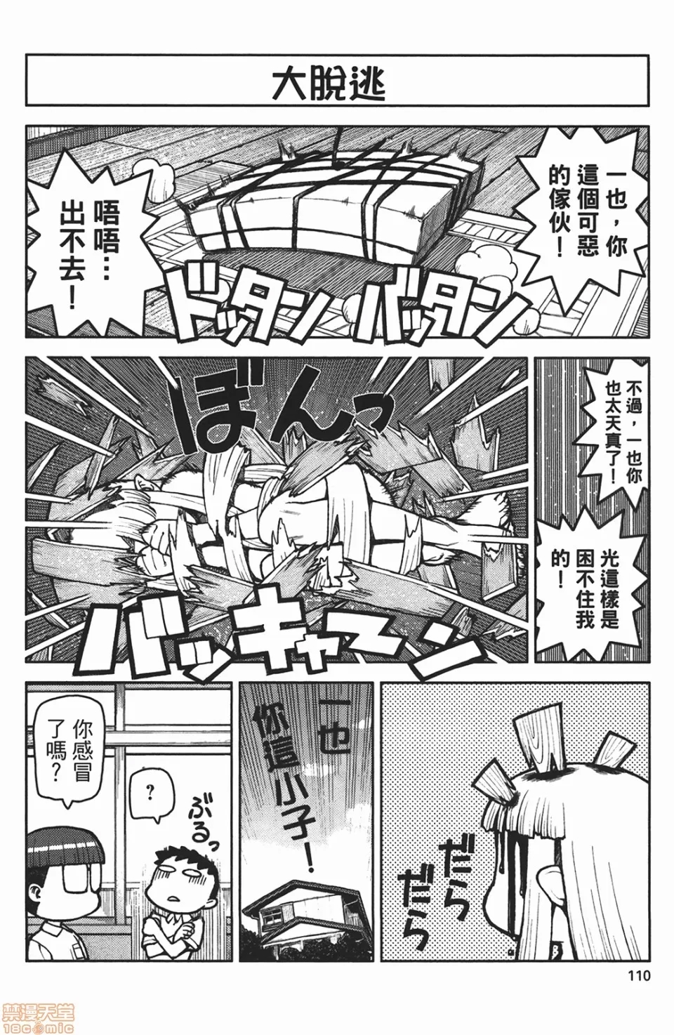 第 110 页