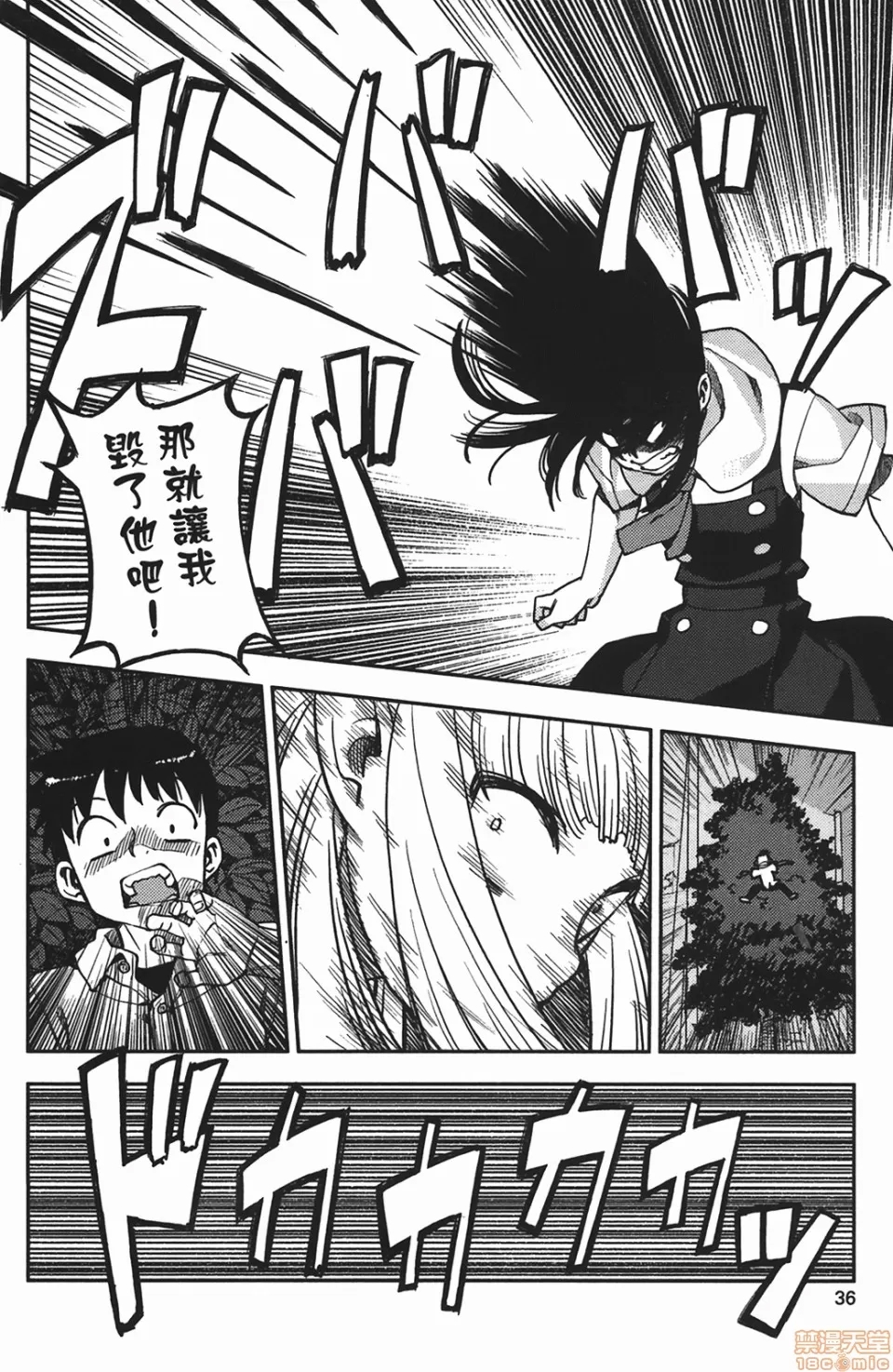 第 36 页