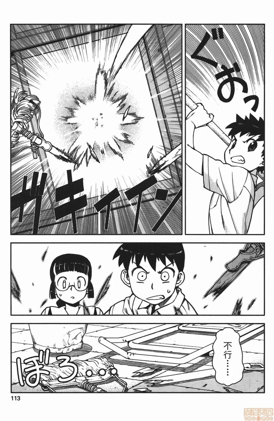 第 113 页