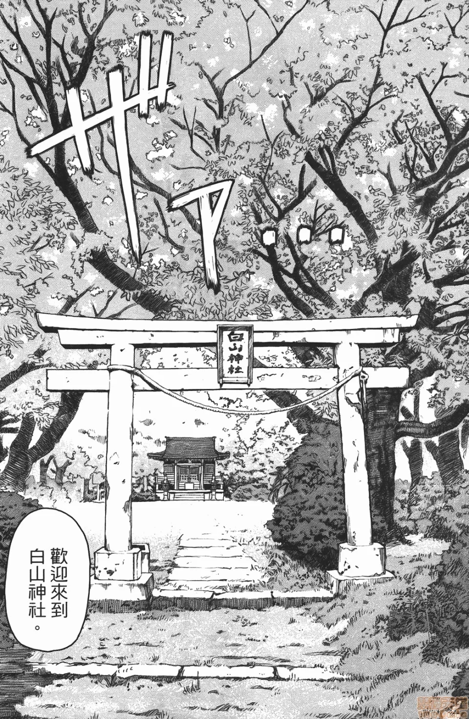 第 31 页