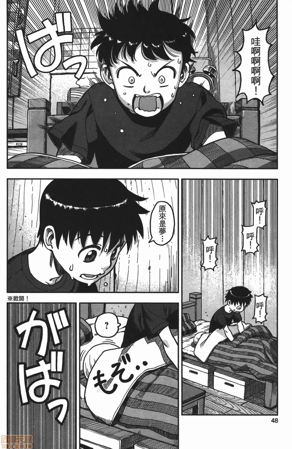 第 48 页