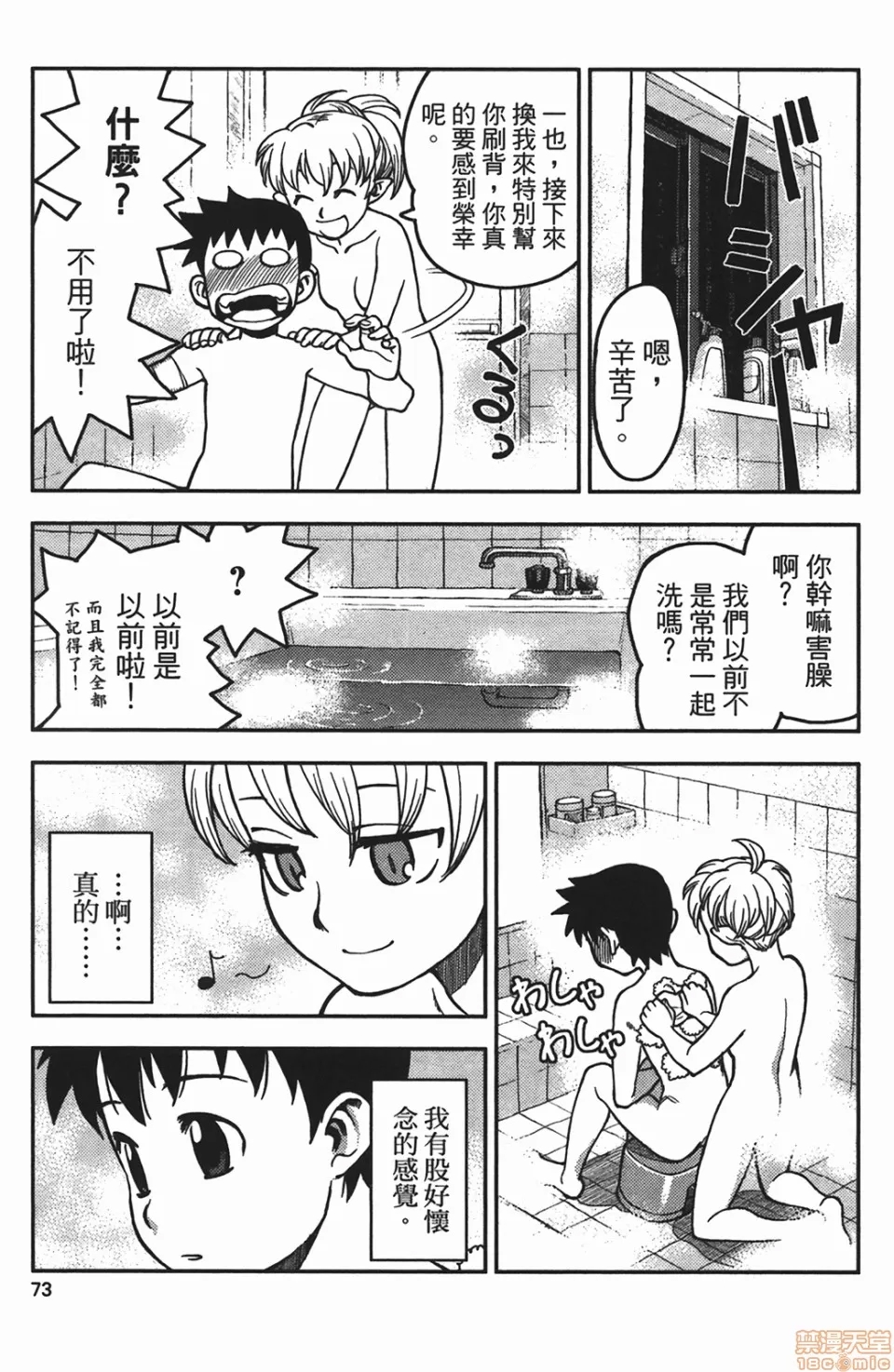 第 73 页