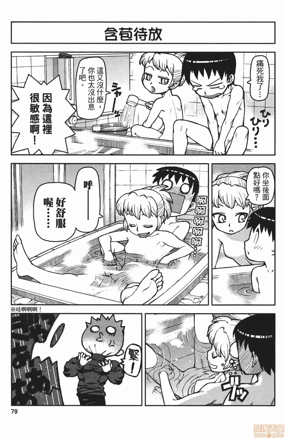 第 79 页