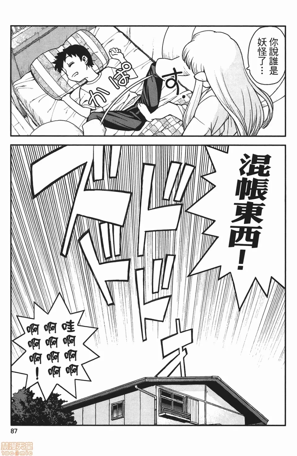 第 87 页