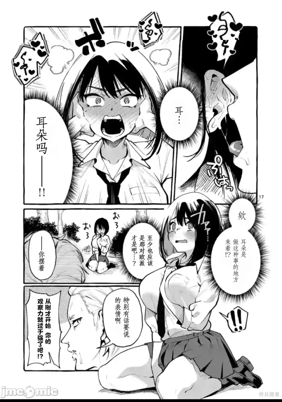 第 17 页