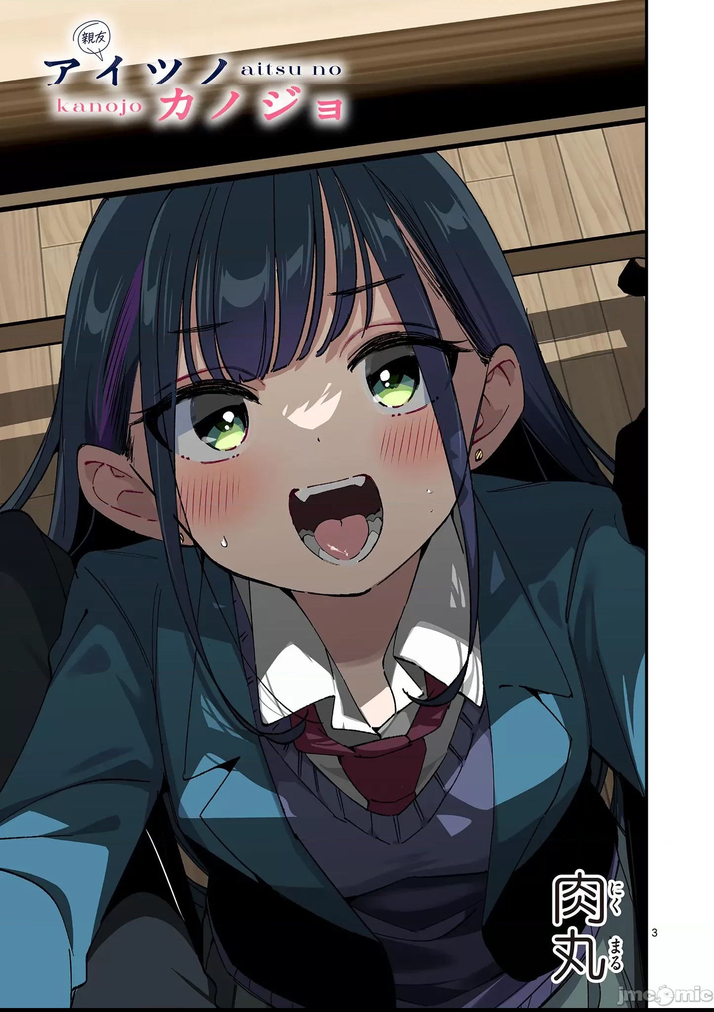 第 3 页