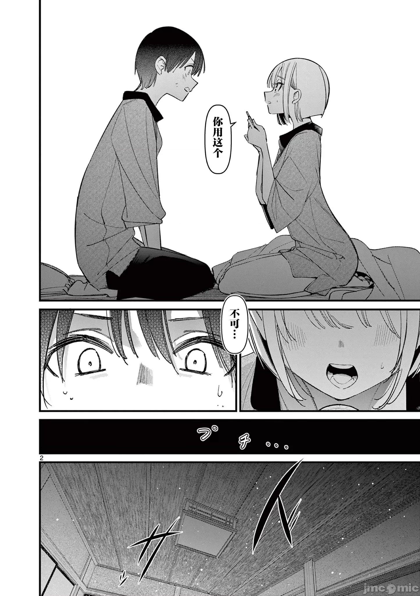 第 2 页