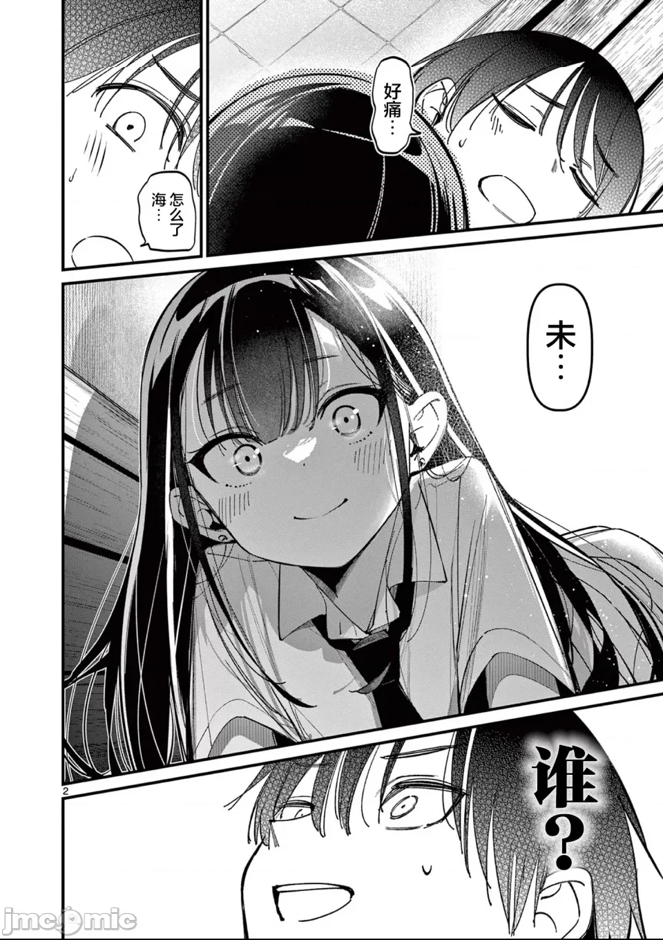 第 2 页