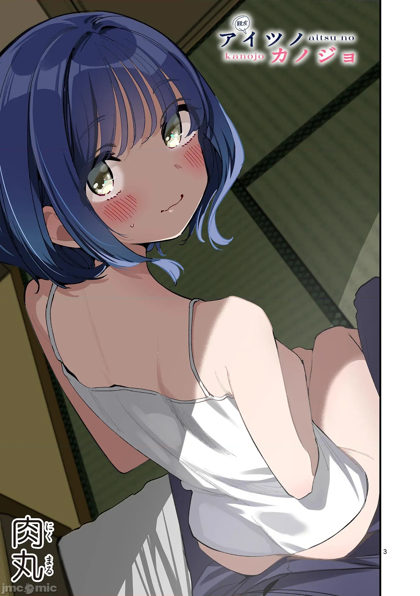 第 3 页