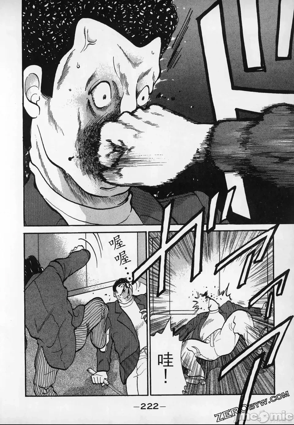 第 221 页