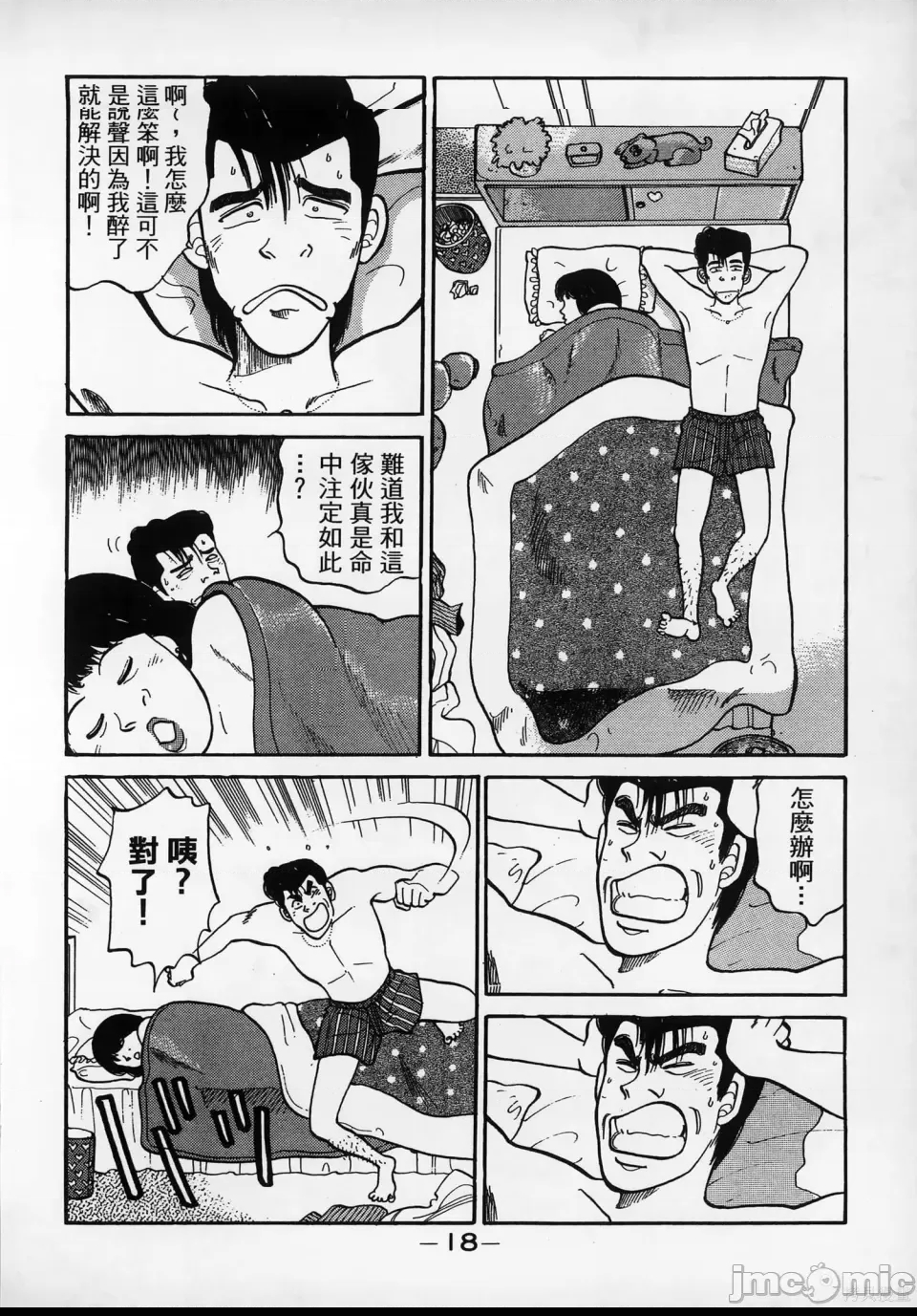 第 20 页