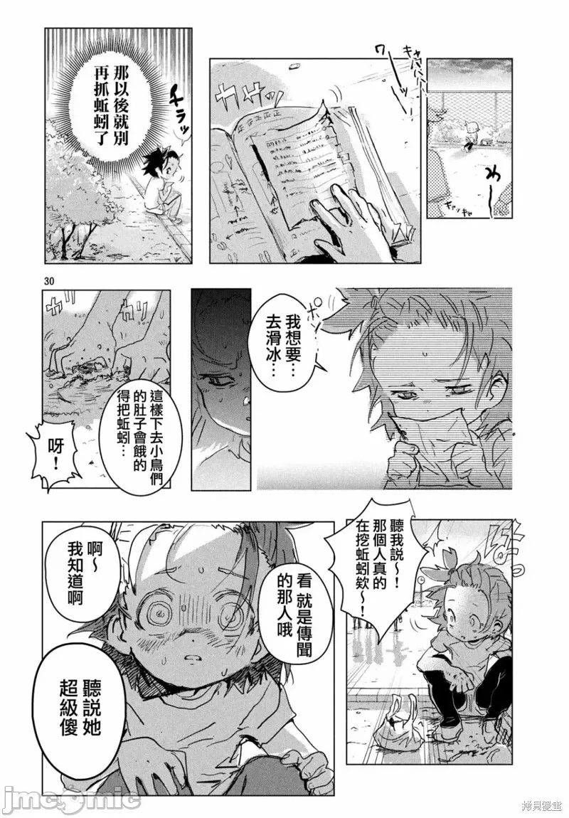 第 30 页