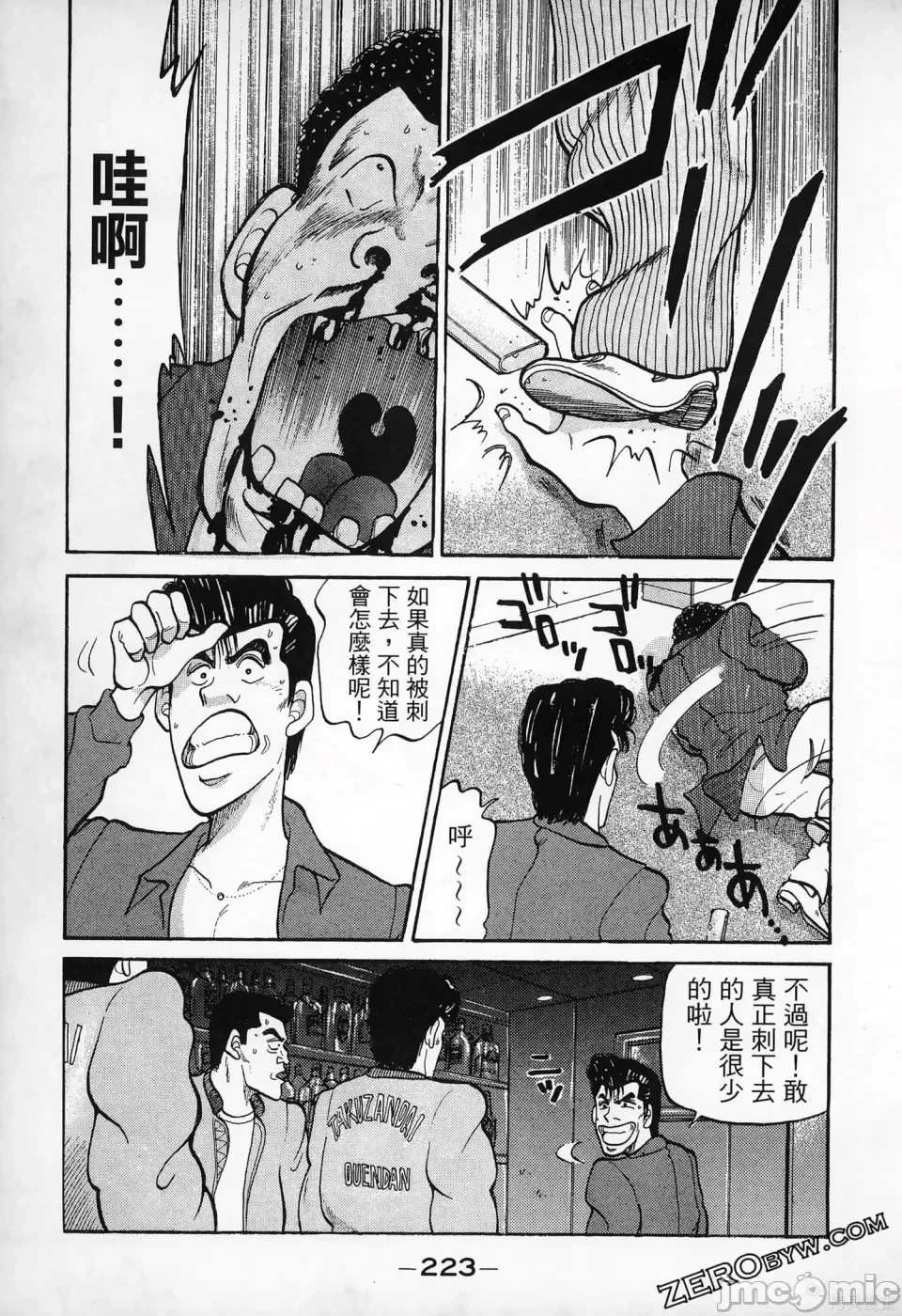 第 222 页