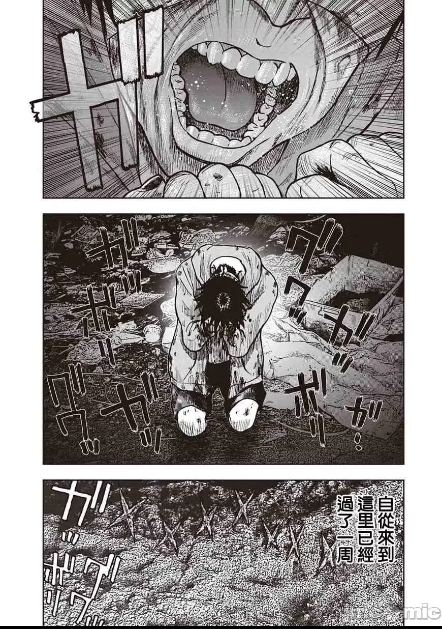 第 231 页