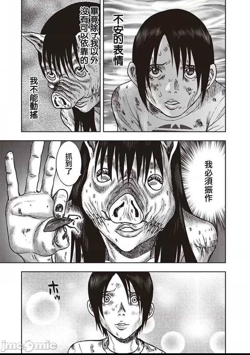 第 242 页