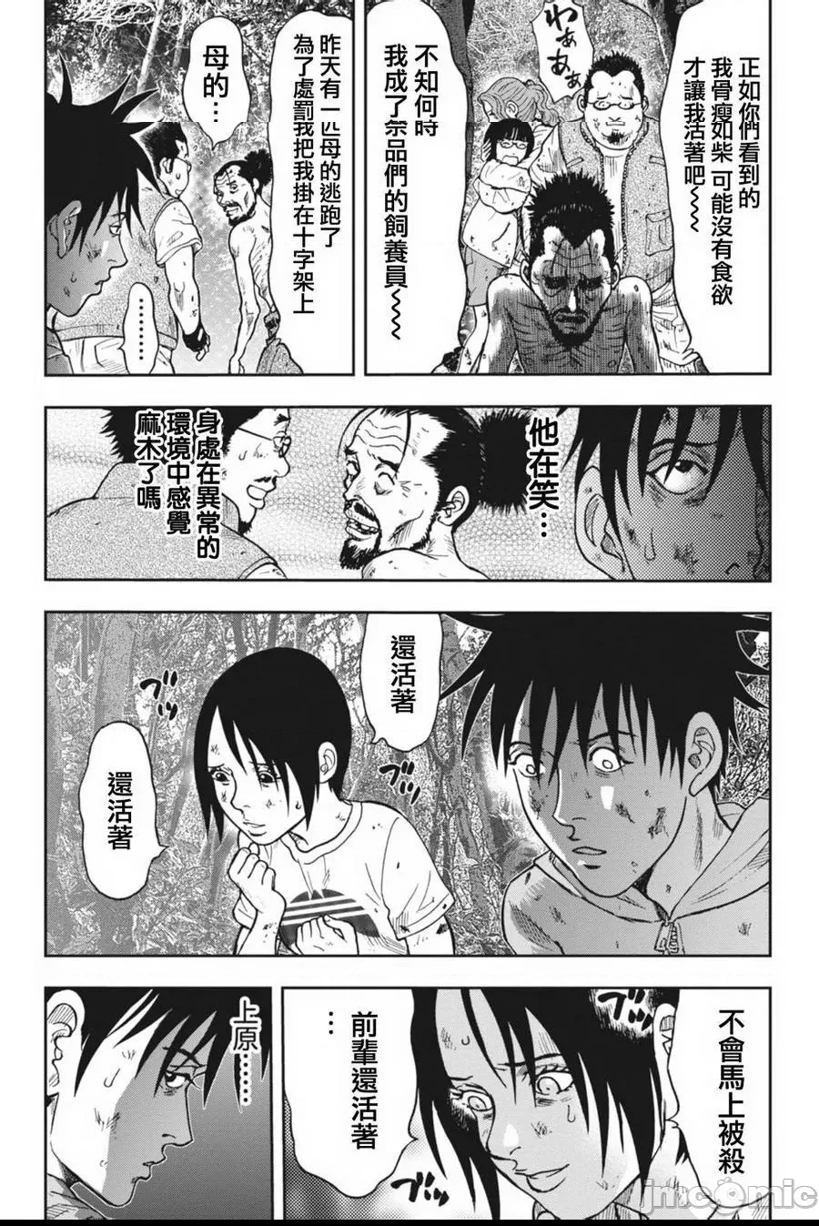 第 117 页